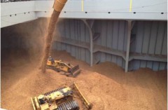 Woodchips Loading